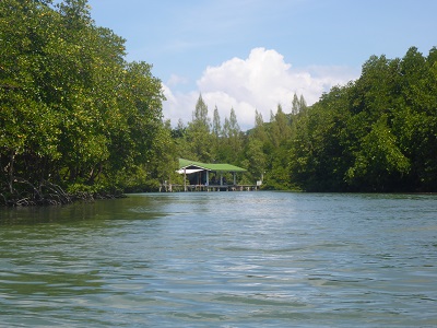 The Salak Phet mangrove forest 